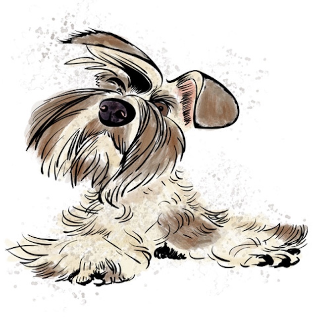 Meet Sprocket - Illustration of Dog