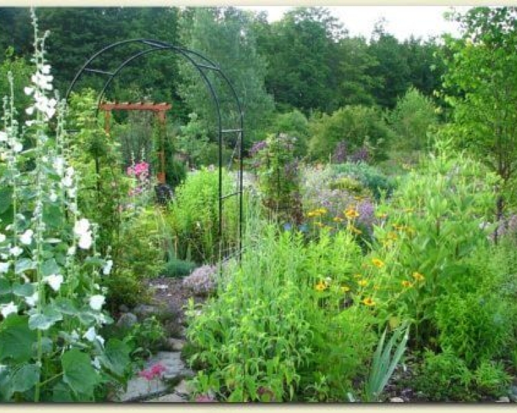 Gaylord Storywalk - Garden walkway in full bloom