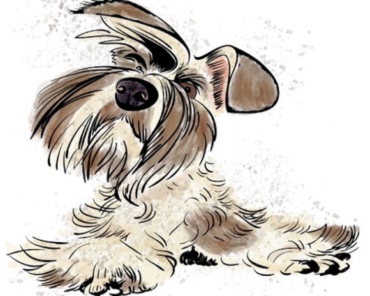 Meet Sprocket - Illustration of Dog